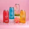 Classic Bubble Tea Cans - Mixed 4 Pack